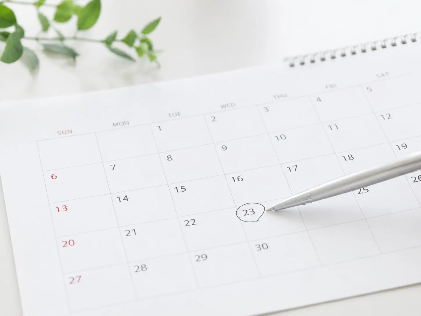 訪問日時決定